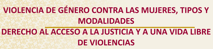 VIOLENCIA DE GÉNERO CONTRA LAS MUJERES, TIPOS Y MODALIDADES DERECHO AL ACCESO A LA JUSTICIA Y A UNA VIDA LIBRE DE VIOLENCIAS